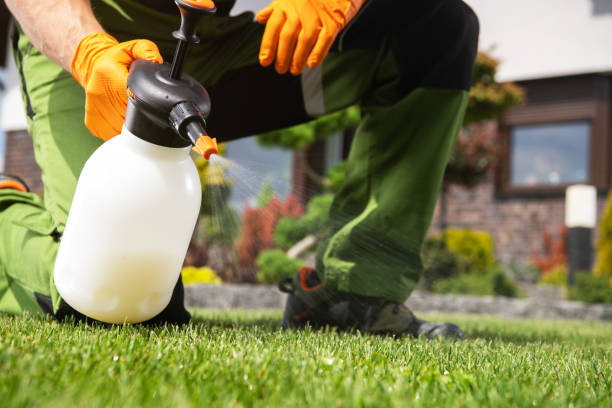 Best Best Pest Control Companies  in Ttapoisett Center, MA