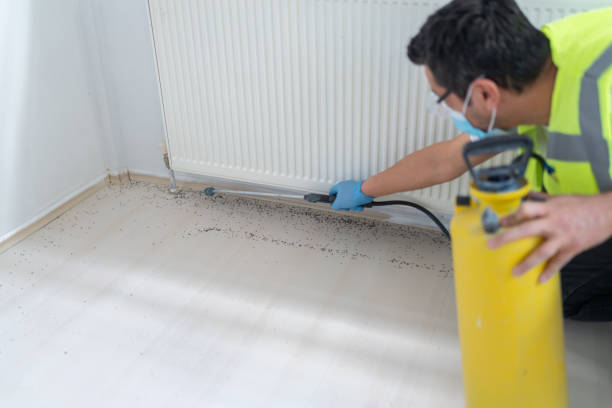 Best Exterminator Services  in Ttapoisett Center, MA